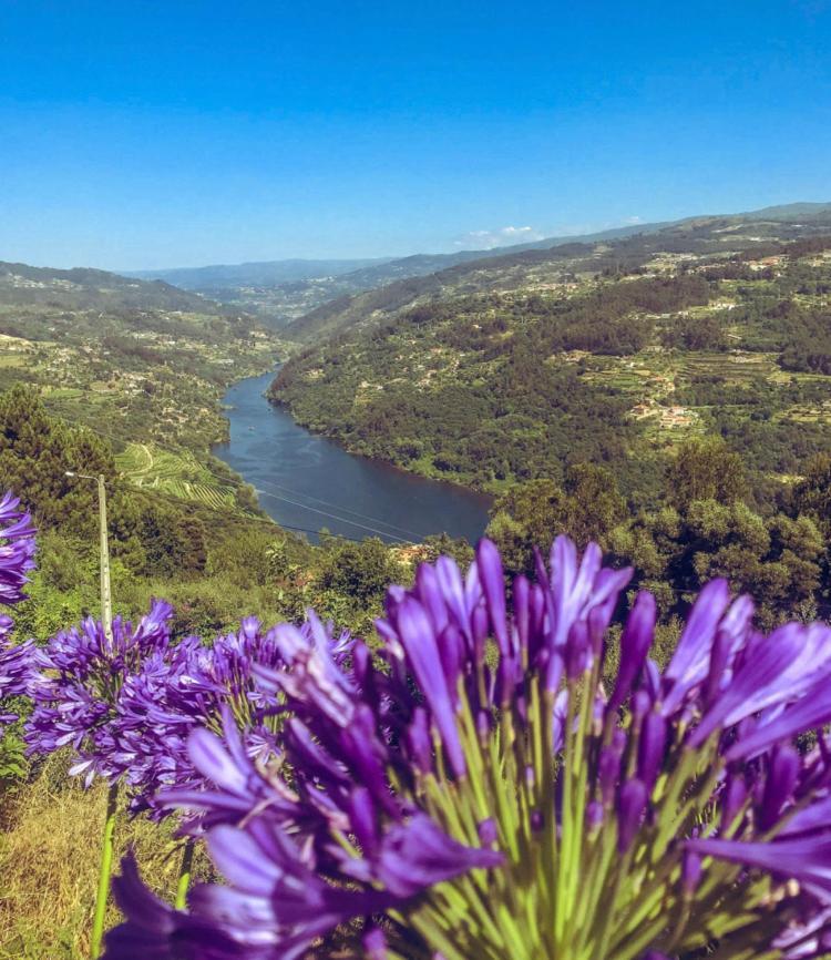 Mira Douro Valley Home Marco de Canavezes Eksteriør billede